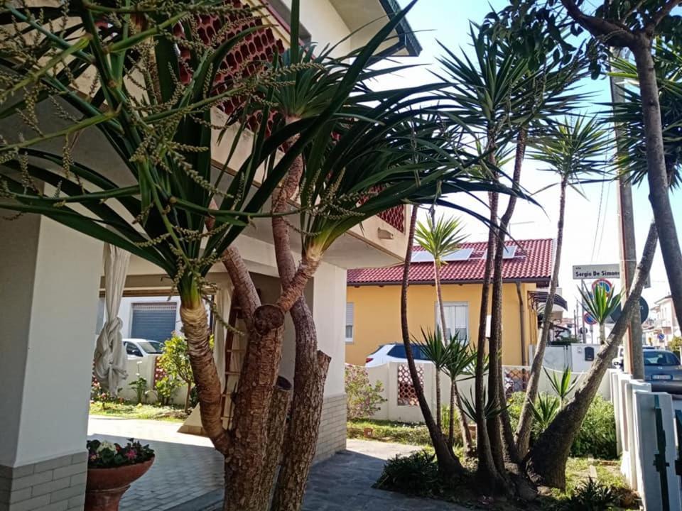 Florinda B&B Viareggio Exterior foto