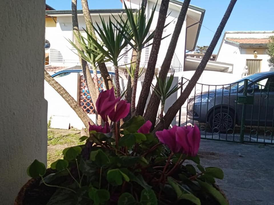 Florinda B&B Viareggio Exterior foto
